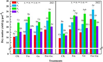 Enhancing alfalfa photosynthetic performance through arbuscular mycorrhizal fungi inoculation across varied phosphorus application levels